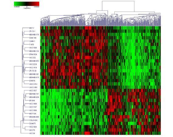 Differentially Expressed Genes Between Sensitive and Resistance Cell Lines RB and cyclin D1 expression