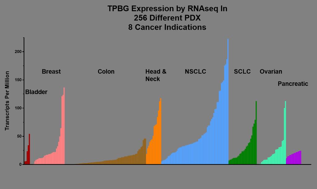 5T4 (TPBG) Expression by RNASeq in 256