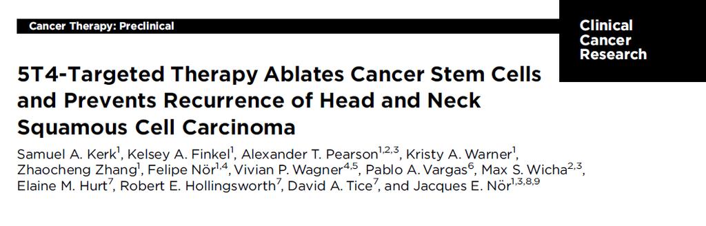 5T4 expression correlates with worse prognosis MedImmune 5T4 ADC has efficacy in Head and Neck PDX MEDI0641 (MedImmune) is a PBD conjugated ADC to 5T4.
