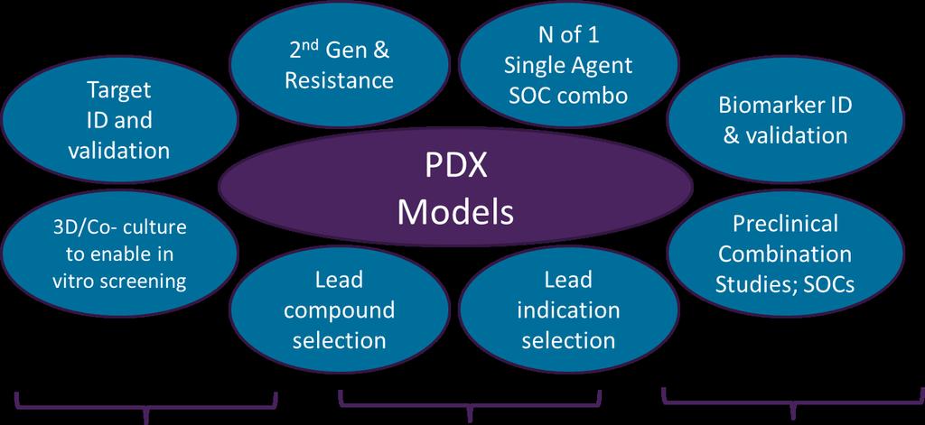 Utility of a PDX Collection in Oncology R&D Target ID and Validation Preclinical
