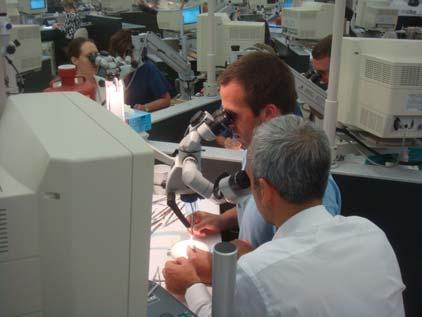 Ali Fakhry, focused on perfecting basic micro-suturing techniques using 50 to 30µm diameter sutures (in comparison, a red blood cell diameter is 8µm).
