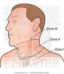 They have implications for management of vascular injuries 2. They allow you to describe the wound to others Zone I - Extends between the clavicle and the cricoid cartilage.