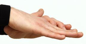 Finger Flexion 1 2 Areas Being Stretched: Back of Hand, Fingers and Wrist Muscles Emphasized: Extensor Digitorum