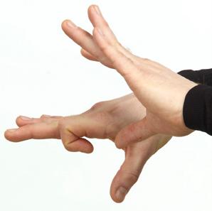 Finger Flexion 3 4 Areas Being Stretched: Back of Wrist, Hand and Fingers