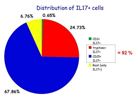 When we looked at the distribution of these IL-17 positive cells, we were quite surprised I would say to see that the majority of these IL-17 positive cells turned out to be neutrophils.