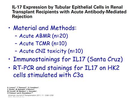 Slide 23 In this study, they also looked at the correlation eventually with the marker for antibodymediated rejection, C4d but they couldn't find any correlation between IL-17 and FoxP3 for this
