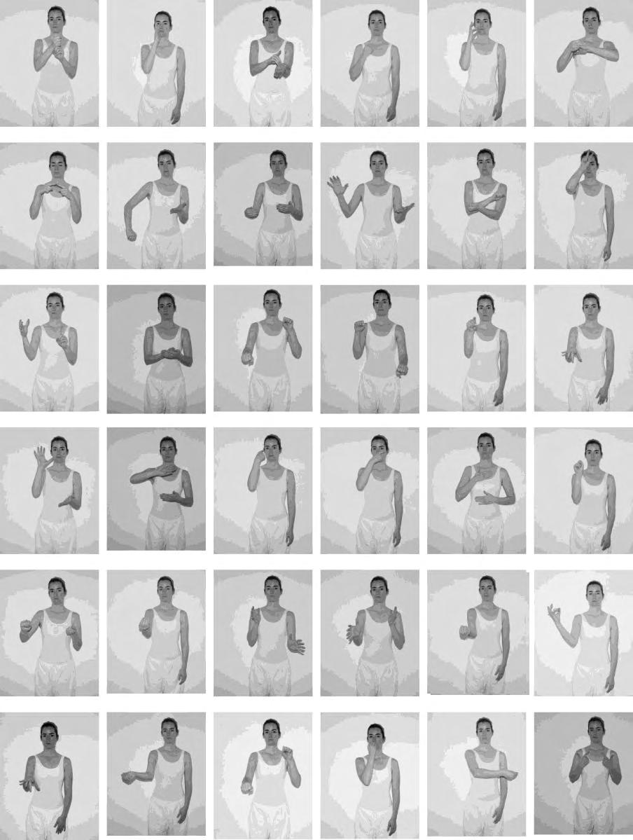 Analysis of Visual Properties in American Sign Language Rain G. Bosworth Karen R.