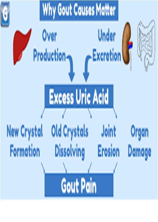 Causes of an elevated blood uric acid level (hyperuricemia) includes