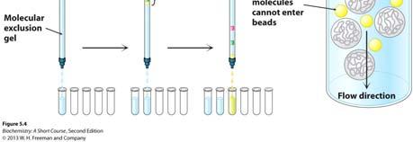 4 Different types of chromatography (1) : proteins