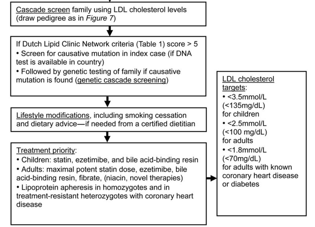 EAS-Strategy for diagnostics and treatment of familial hypercholesterolemia (part 2)