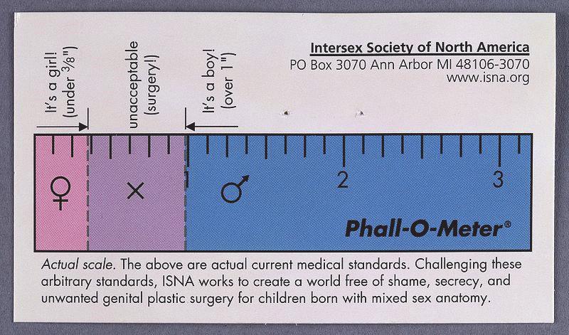 The Phall-O-Meter, developed in the 1990s by the Intersex Society of North America (ISNA), was a satirical activism tool to highlight how doctors made subjective judgements about atypical genitalia