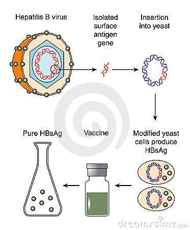 Recombinant Protein Vaccine Incorporation of the