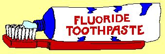 How Fluoride Works Not long ago teeth exposed to systemic fluorides were thought to develop an enamel with a different structure than those not exposed to fluorides.