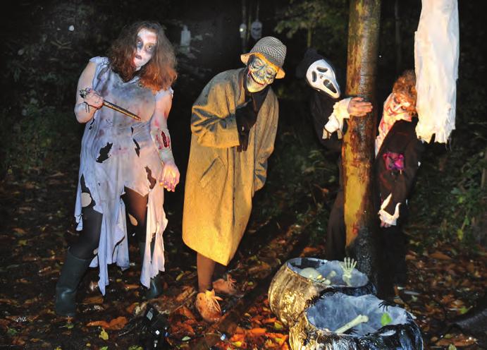 local stories spooky times at prince s park Were you brave enough to venture down to Irlam s Prince s Park this Halloween and walk in the enchanted wood?