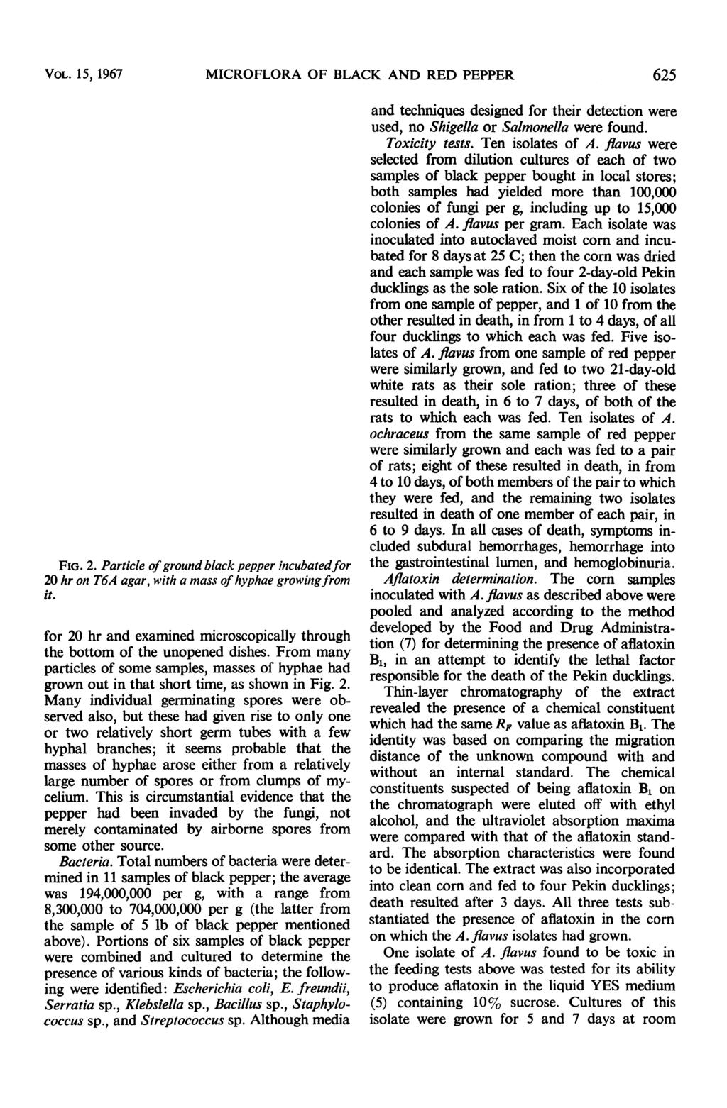 VOL. 15, 1967 MICROFLORA OF BLACK AND RED PEPPER 625-41 W K.V FIG. 2. Particle of ground black pepper incubatedfor 20 hr on T6A agar, with a mass of hyphae growingfrom it.