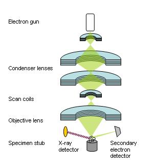 Scanning Electron Microscope (SEM) 2.