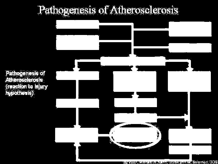 19 CVS Diseases Atherosclerosis 20 Characterised by an