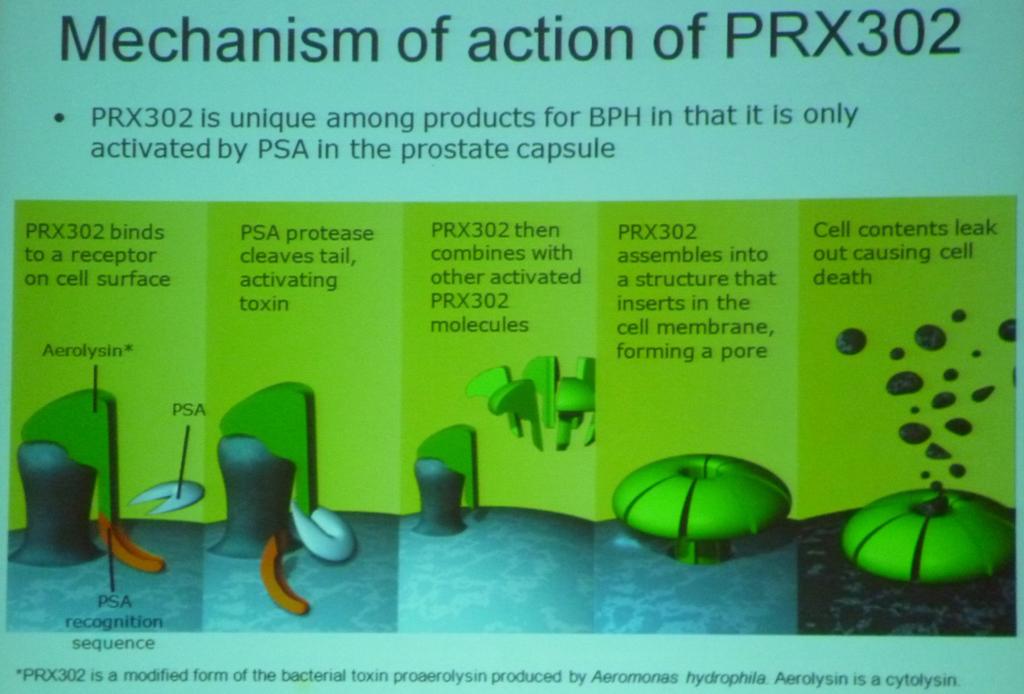 BPH PSA-activated Protoxin (PRX302) AUA 1787. Elhilali M et al.