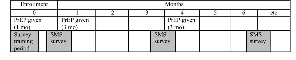 SMS surveys 10 SMS per survey, including What is your password? Since this time yesterday, did you have sex? Did you use a condom for all sex acts?