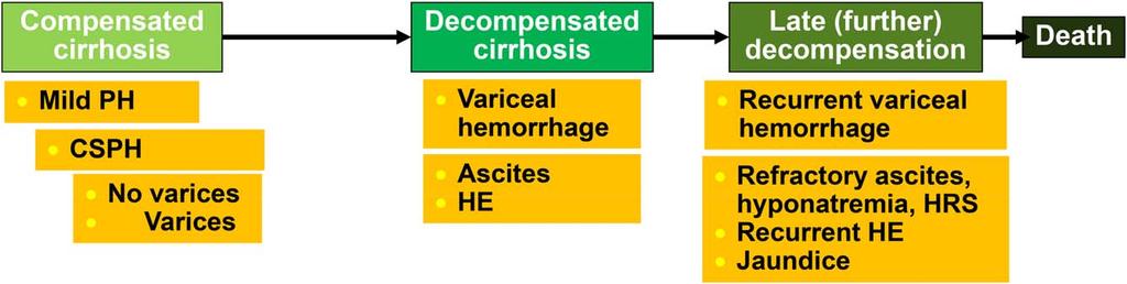 HEPATOLOGY, Vol. 65, No. 1, 2017 GARCIA-TSAO ET AL. FIG. 1. Stages and substages of cirrhosis. The two main stages are the compensated and decompensated stages.