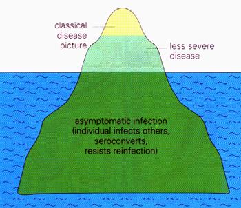 Terminology and Concepts (3) Infections: may vary from subclinical to fulminant The iceberg model of infection In many infections > 90% are asymptomatic e.g., enterovirus infections Different pathogens cause a different frequency of clinically apparent illness Gonorrhea (99%) vs.