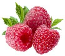 Strawberry market devastated True source Guatemalan raspberries HOW TO AVOID MISTAKES Use body of evidence to make decisions Follow the tenets of causation Exposure precedes