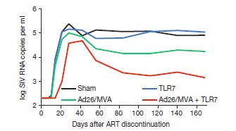 Rhesus macaques treated with ART early in infection, combination therapeutic vaccine and TLR