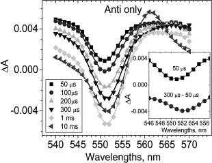 7900 Biochemistry, Vol. 45, No. 25, 2006 Shinkarev et al. FIGURE 4: Flash-induced spectra measured in Rb.