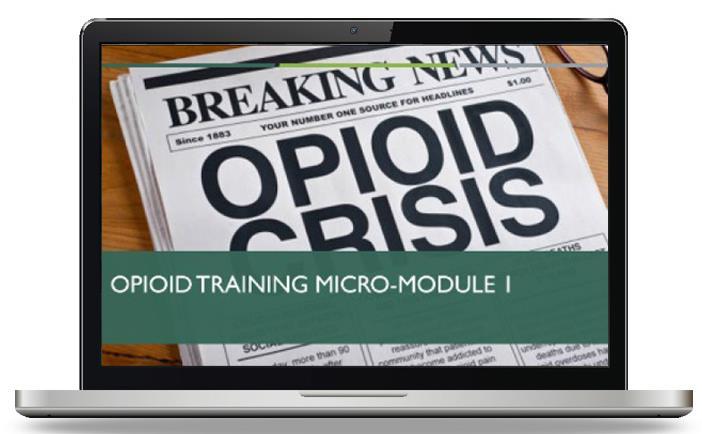 Needs Assessment- Informed Training Module Examples:* Prescription Opioid Basics Heroin Basics Connecting Parental Opioid Use to Child Maltreatment (Nexus) Opioid Use and Pregnancy/Neonatal
