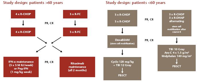 Study design Elderly MCL patients were initially randomized between 8 cycles of R-CHOP (standard arm) and 6 cycles of R-FC (experimental arm) Patients who achieved either PR or CR subsequently