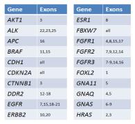 NGS-SNaPshot Panel at MGH Anchored Multiplex PCR (AMP) ~190 target amplicons across 39 genes and 50+ rearrangements High-quality sequence: -