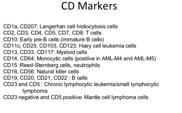 CD Antibodies for Phenotyping (Formalin-Fixed Paraffin-Embedded Tissues) Antibody CD43 CD45 CD45RB CD45R0 CD68 CD74 CDw75 CD79a Neoplasm and/or Cell Target