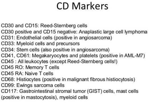 CD Markers CD71 All proliferating cells; erythroid precursors through reticulocytes, capillary endothelium