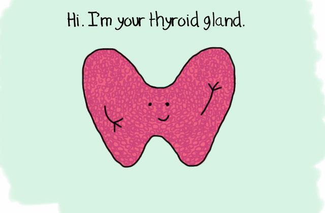 Brief Review of Hypothyroidism Hypothyroidism Subclinical hypothyroidism TSH Level FREE T4 Level Primary Hypothyroidism Elevated Low Secondary