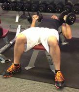 DB Chest Press Hold the dumbbells above your chest with your palms turned