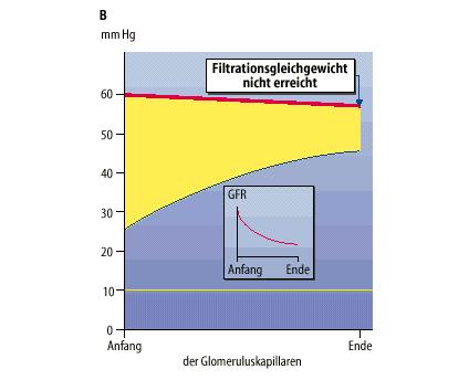 coefficient P eff = effective filtration pressure GFR