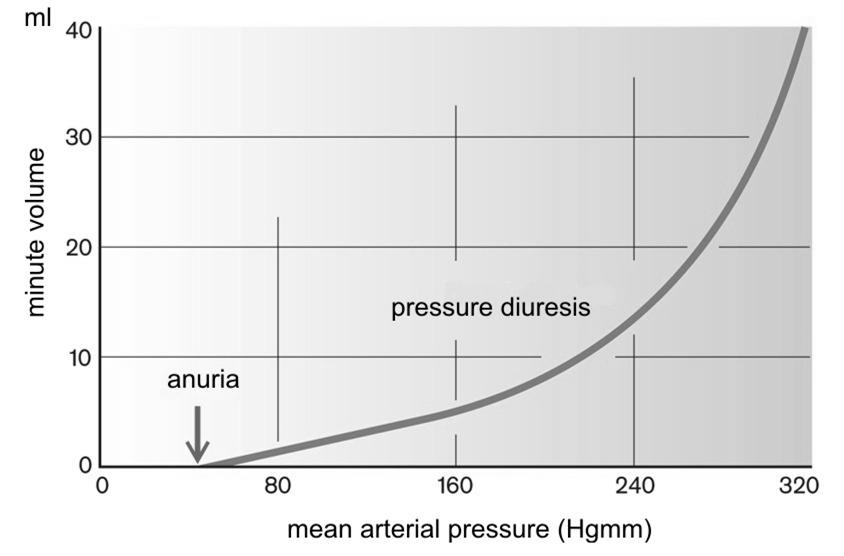 pressure and urine