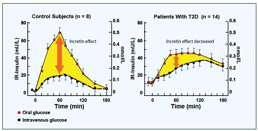 Reduced incretin effect in type 2 (non-insulin-dependent) diabetes. Diabetologia.
