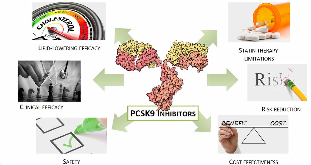 PCSK9 Inhibitors What