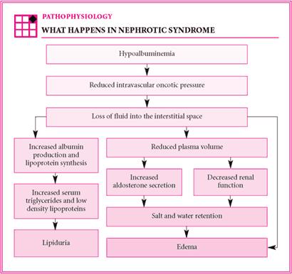 P a g e 1 DEFINITION Paediatrics Dr. Bakr Lecture 3 Nephrotic Syndrome Definition: nephrotic syndrome is a disorder characterized by heavy proteinuria with hypoprpteinimia,hyper lipidemia and edema.