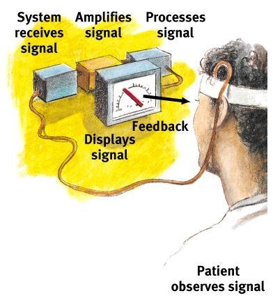 Promoting Health Biofeedback system for electronically recording, amplifying, and