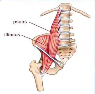 a disc) Does the pain go around to your abdomen or into your groin?