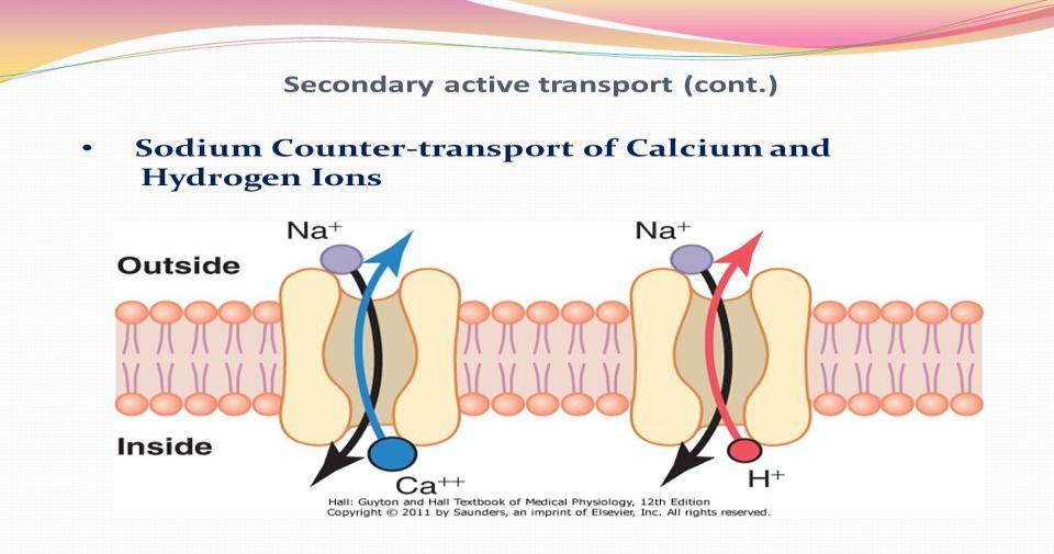 As mentioned earlier, the secondary active transport is either Co-Transport or Counter Transport.