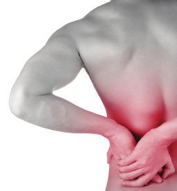 Acute Low Back Pain North American