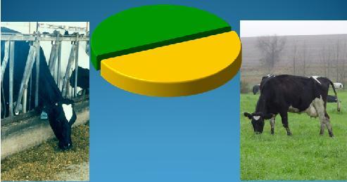 Include as much forage as possible Meet requirements Shaver and Kaiser, 2011 Forage quality sets limits for