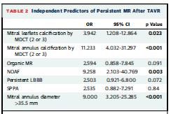 Mitral Regurgitation After TAVR N=1110, MR 3 16% The presence of calcific burden in moderate to severe degrees within the mitral annulus and leaflets