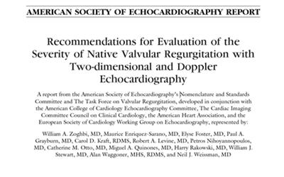 What are the Echo Guidelines/Standards?