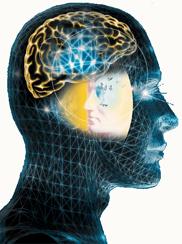 Cognitive Focus on our information processes of perception, attention, language,