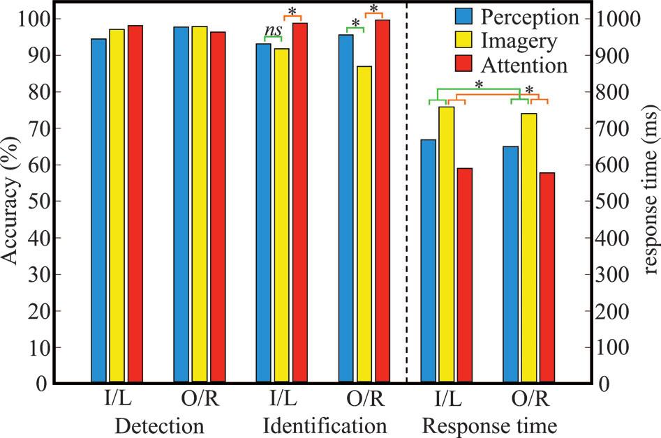 Figure 3. Behavioral results from the perception, imagery and attention tasks of the main experiment.