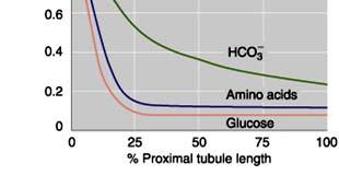 Low for Glucose, Amino acids, HCO - 3 2